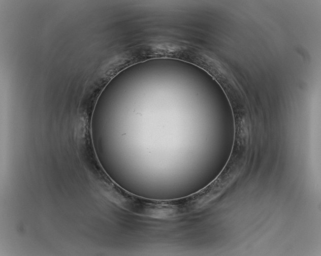 X0000115800463200911131403