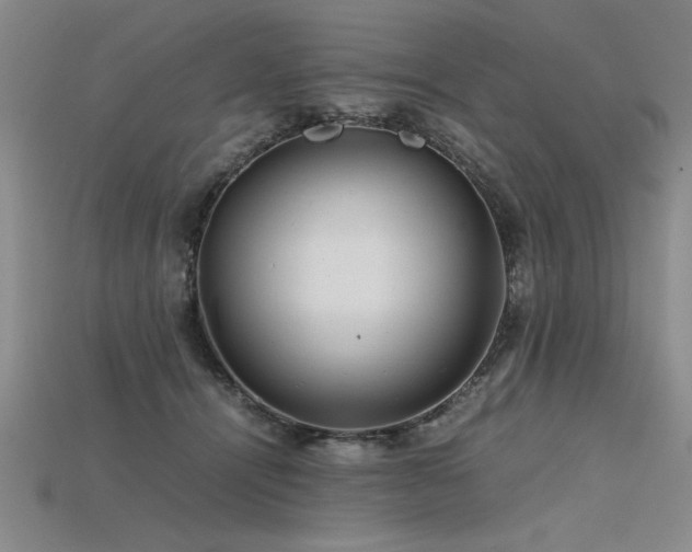 X0000115800464200911131403