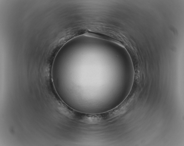 X0000115800466200911131403