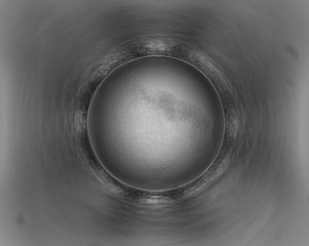 X0000115800467200911131403