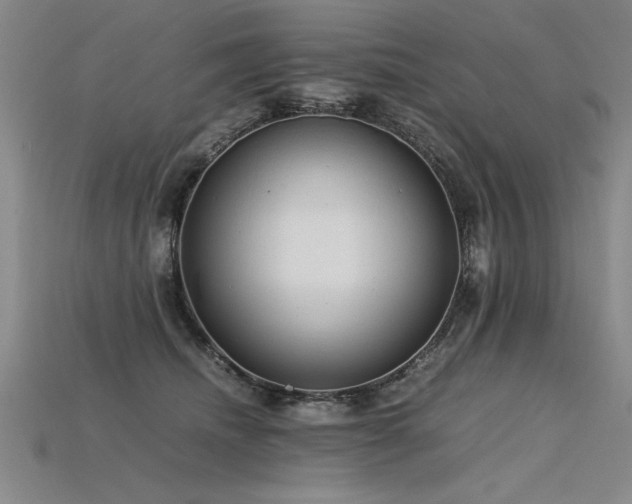 X0000115800468200911131403