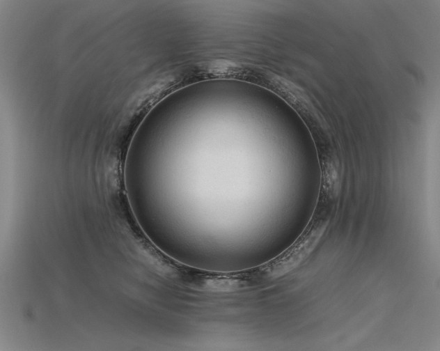 X0000115800470200911131403