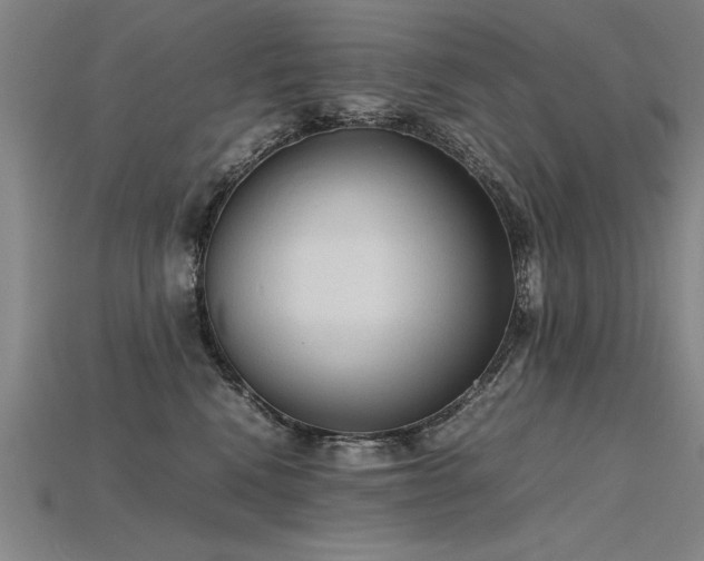 X0000115800472200911131403