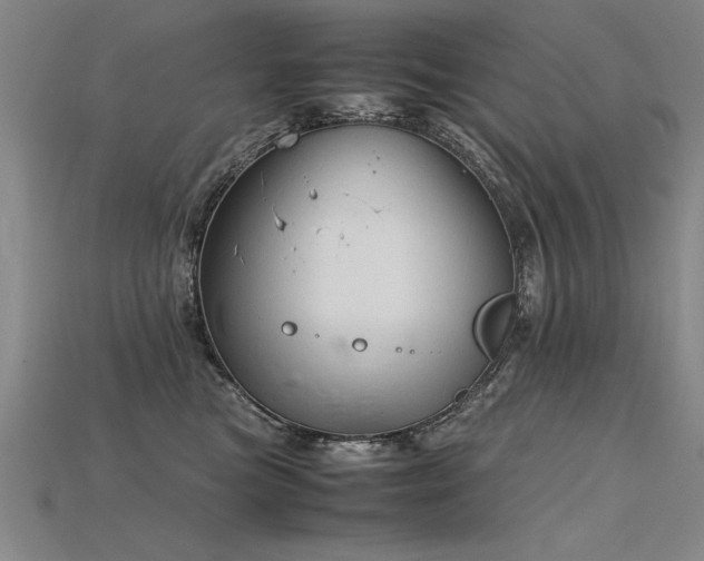 X0000115800473200911131403