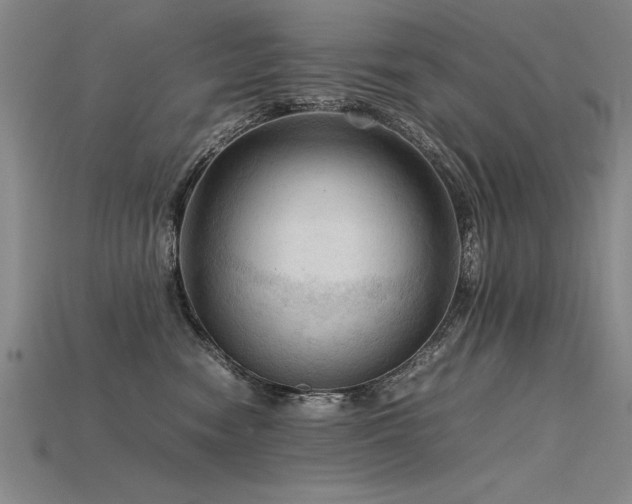 X0000115800474200911131403