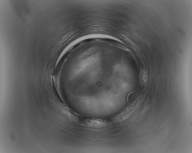 X0000115800475200911131403