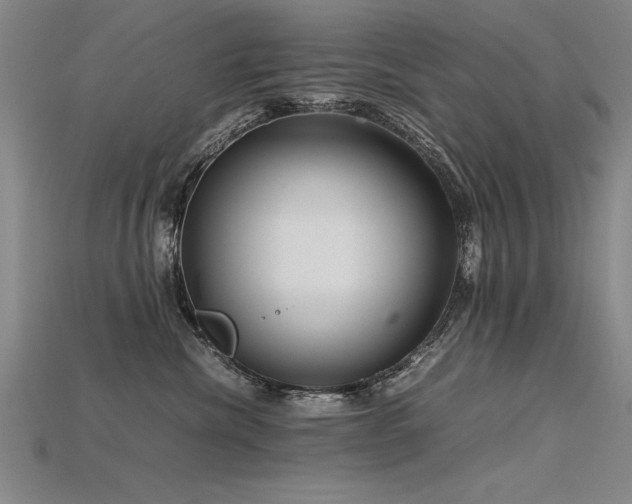 X0000115800476200911131403