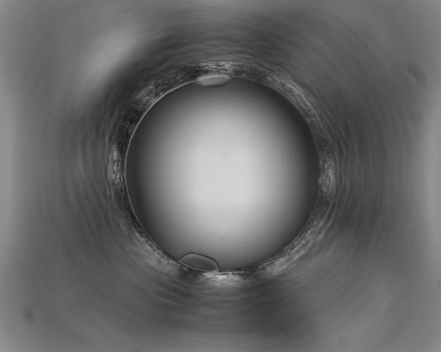X0000115800477200911131403