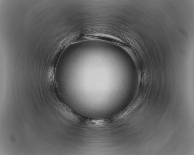 X0000115800478200911131403