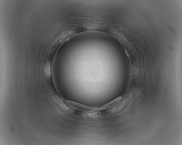 X0000115800479200911131403