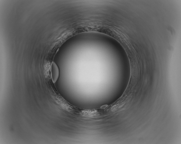 X0000115800480200911131403