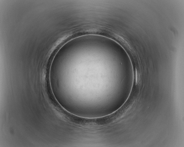 X0000115800483200911131402
