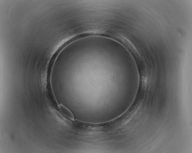X0000115800484200911131402