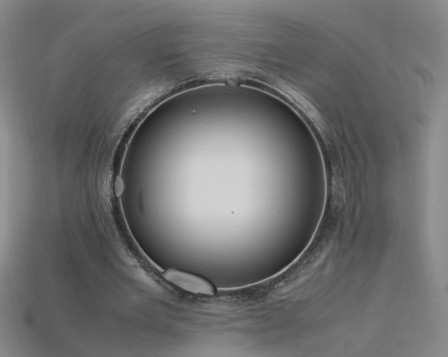 X0000115800485200911131402
