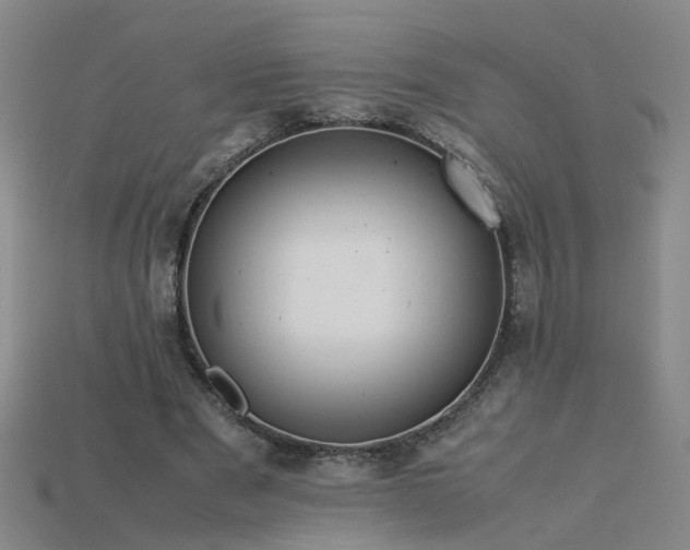 X0000115800489200911131402