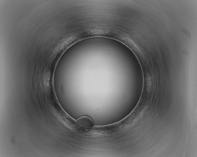 X0000115800490200911131402