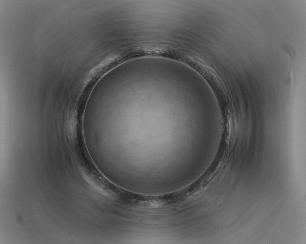 X0000115800492200911131402