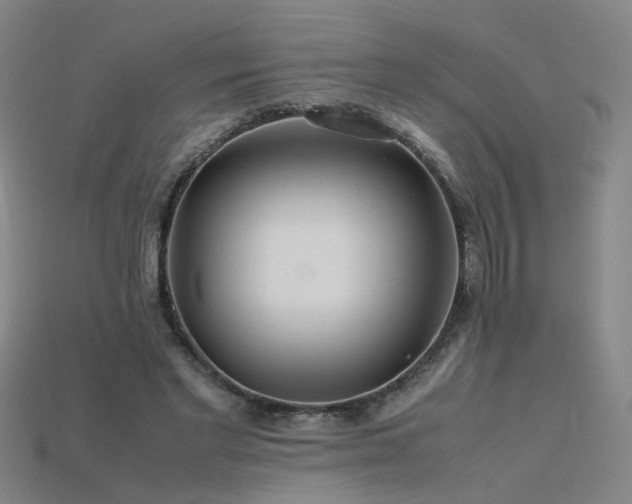 X0000115800493200911131402