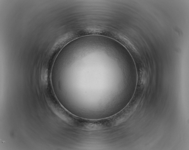X0000115800494200911131402