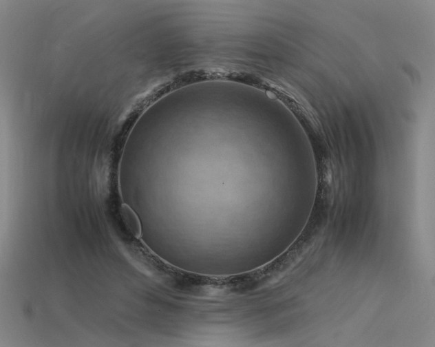 X0000115800496200911131402