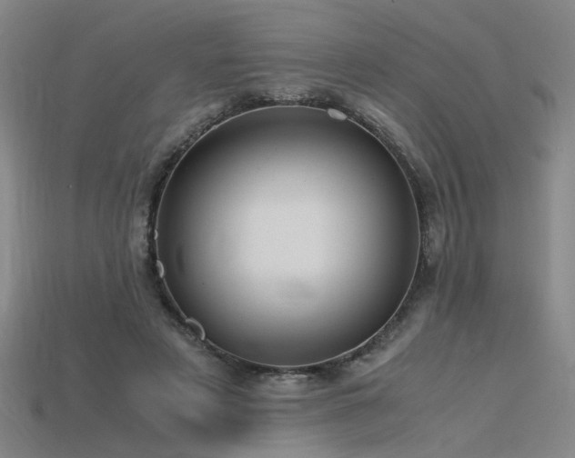 X0000115800497200911131402