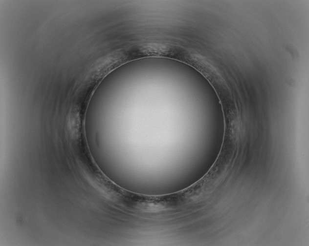 X0000115800498200911131402