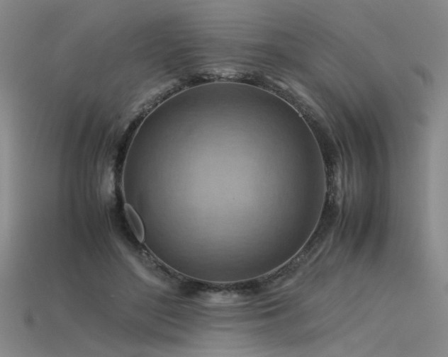 X0000115800500200911131402