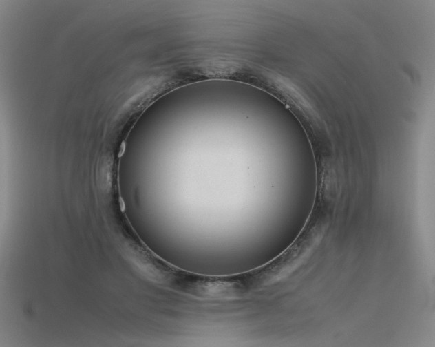 X0000115800501200911131402