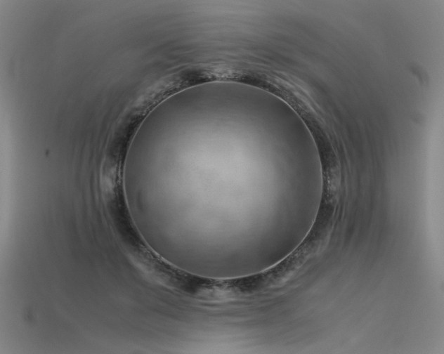 X0000115800503200911131402