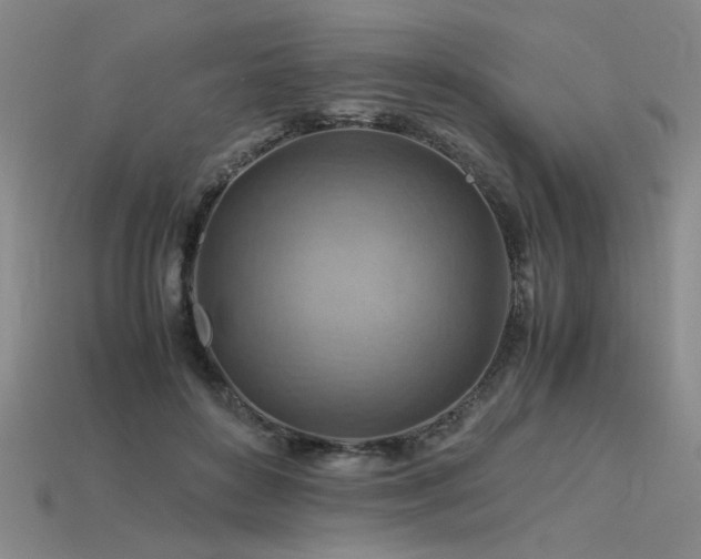 X0000115800504200911131402