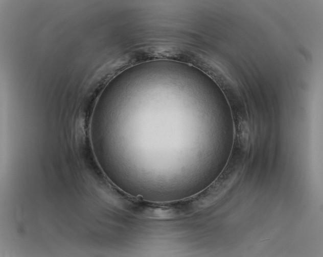 X0000115800506200911131402