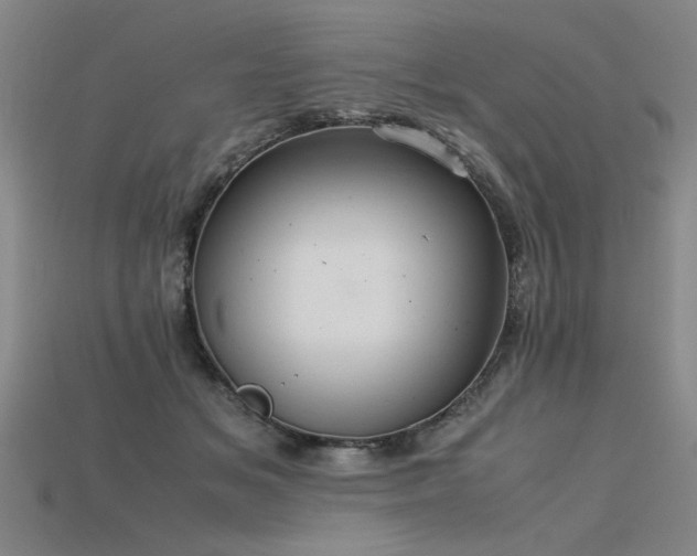 X0000115800509200911131402