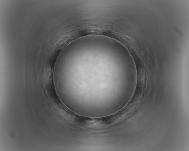 X0000115800511200911131402