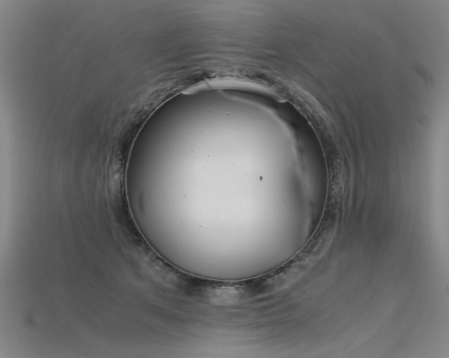 X0000115800513200911131402