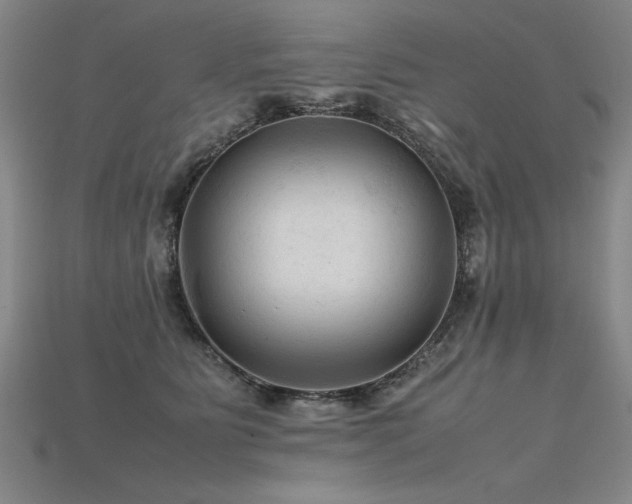 X0000115800515200911131402