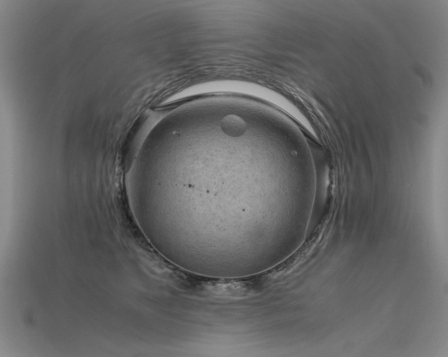 X0000115800517200911131402