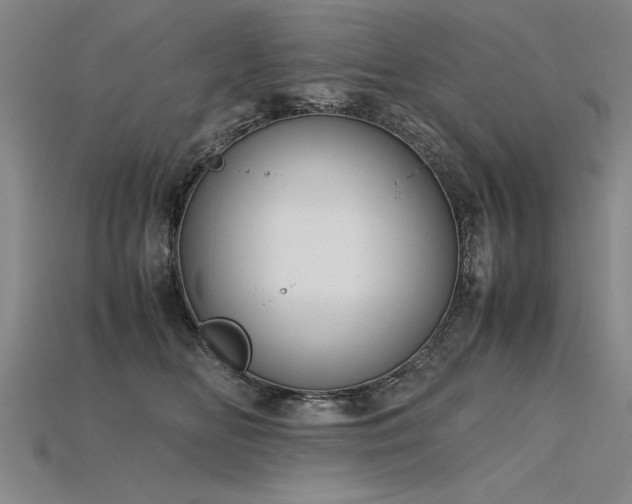 X0000115800518200911131402