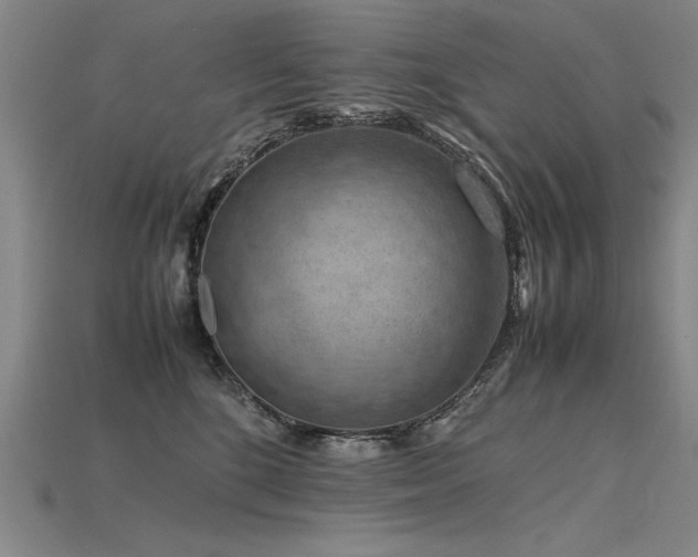 X0000115800520200911131402