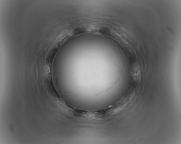 X0000115800523200911131402