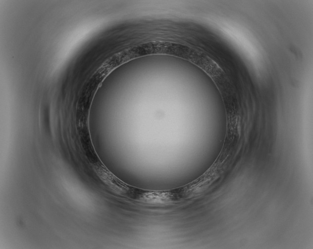 X0000115800526200911131402
