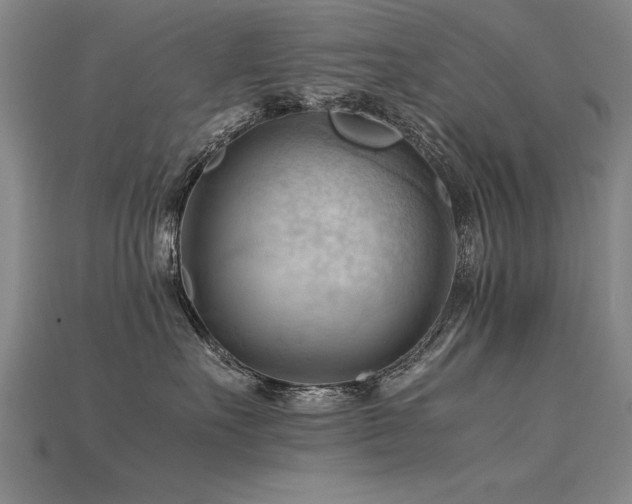 X0000115800527200911131402
