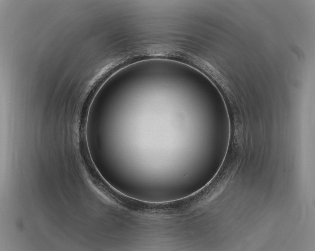 X0000115800530200911131401