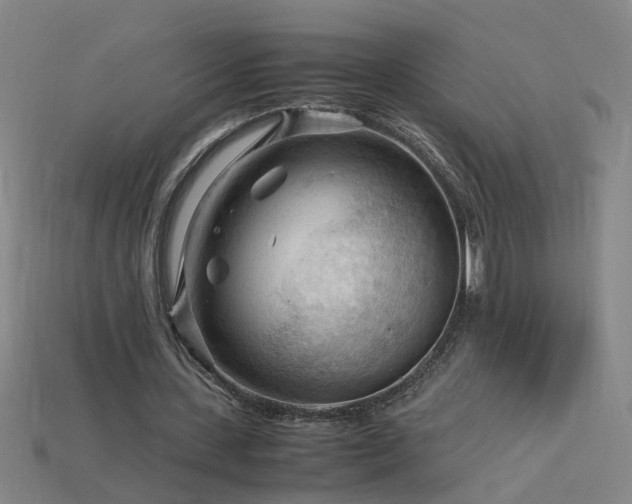 X0000115800531200911131401