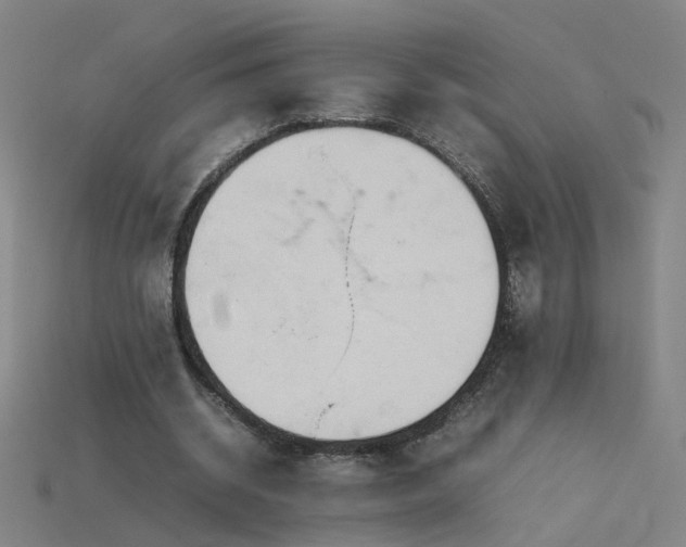 X0000115800534200911131401