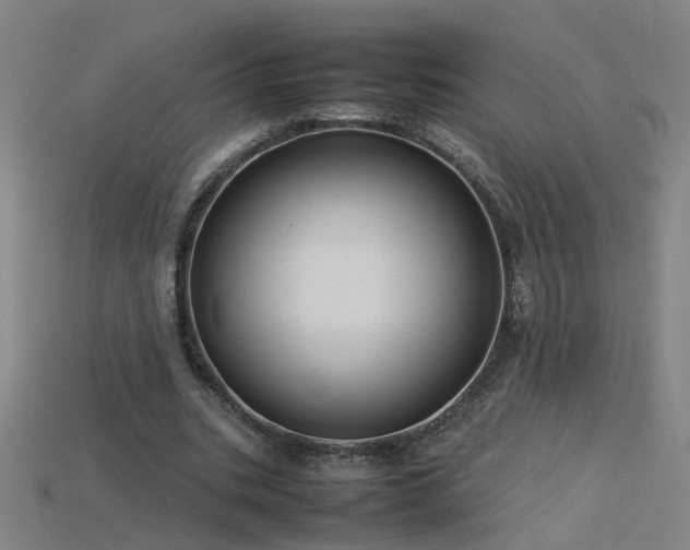 X0000115800535200911131401