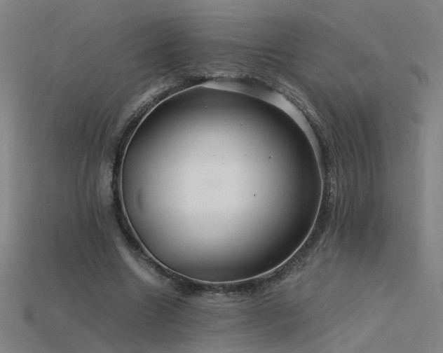 X0000115800538200911131401
