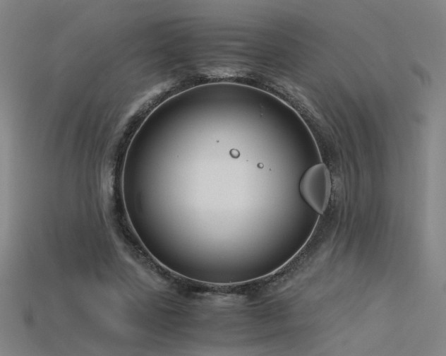 X0000115800539200911131401