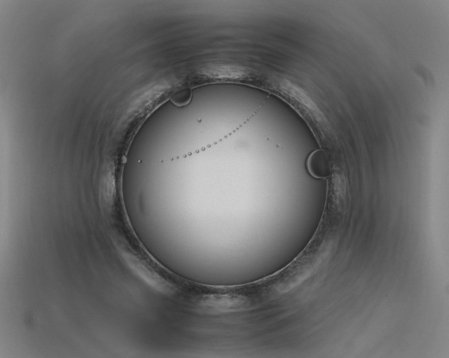 X0000115800541200911131401
