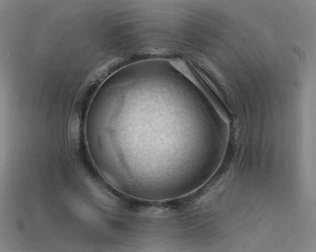 X0000115800542200911131401