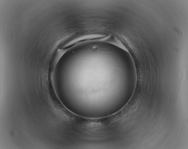 X0000115800543200911131401